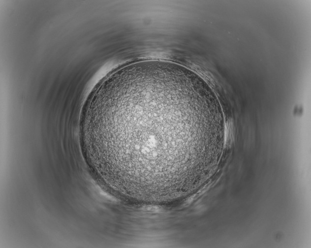 X0000091680195200709061111