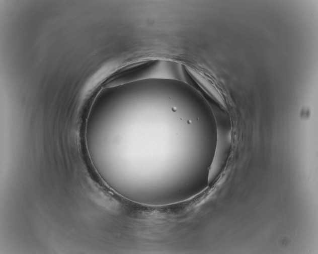 X0000091680197200709061111