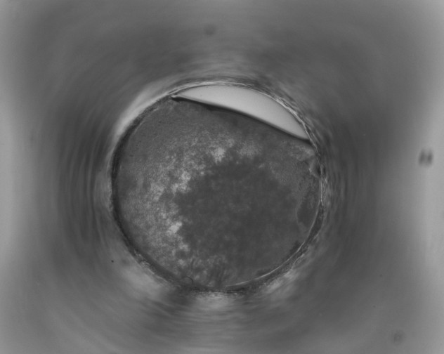X0000091680198200709061111