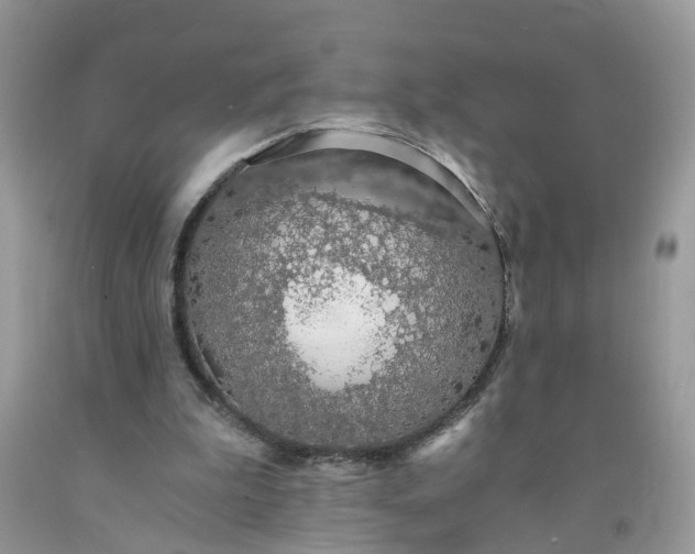 X0000091680199200709061111