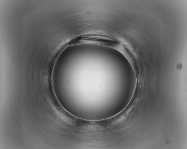 X0000091680201200709061111