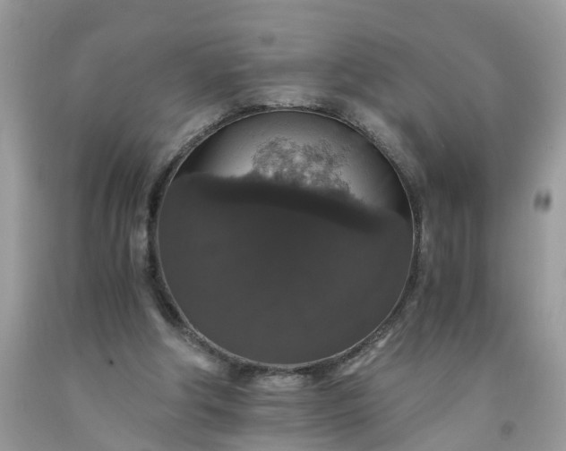 X0000091680202200709061111