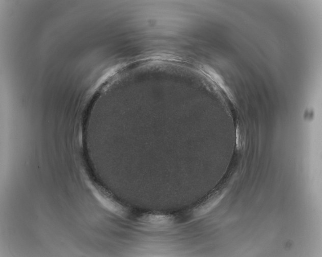 X0000091680205200709061111