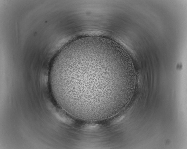 X0000091680206200709061111