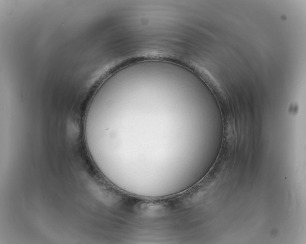 X0000091680208200709061111
