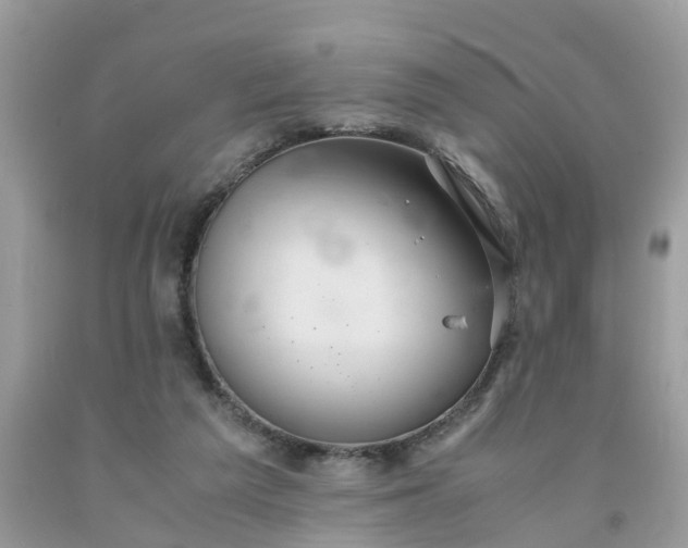 X0000091680209200709061111