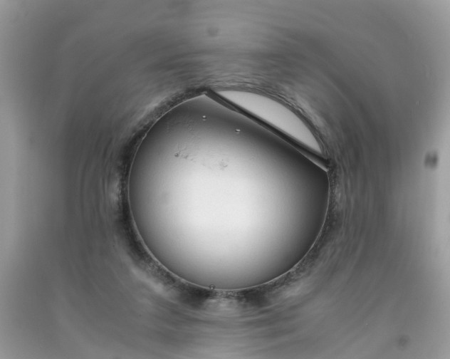 X0000091680211200709061111