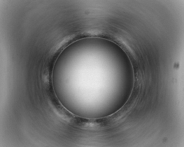 X0000091680212200709061111