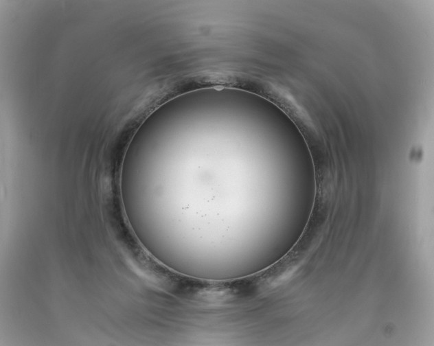 X0000091680213200709061111