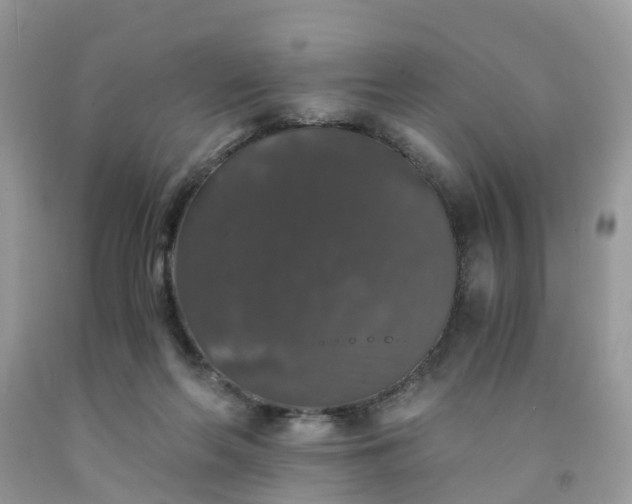 X0000091680214200709061111