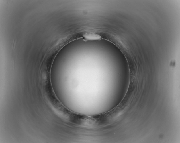 X0000091680215200709061111