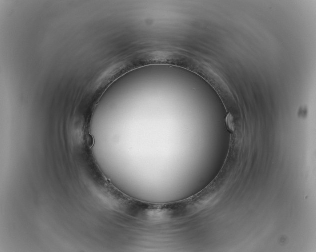 X0000091680216200709061111