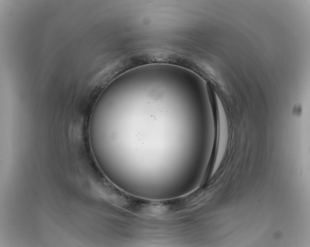 X0000091680217200709061111