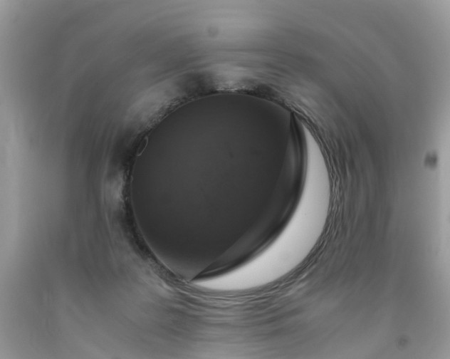 X0000091680219200709061111