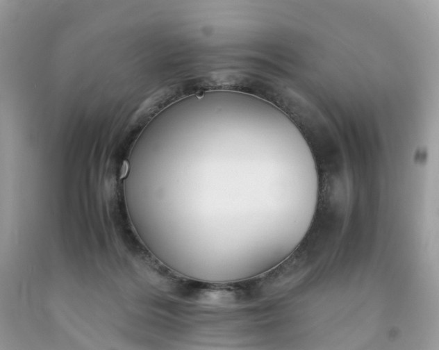 X0000091680220200709061111