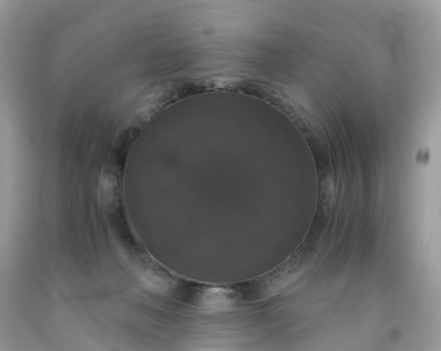 X0000091680222200709061111