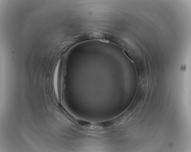 X0000091680223200709061111