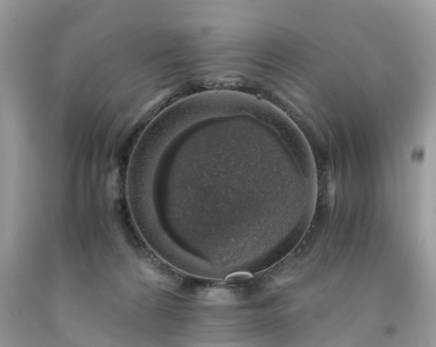 X0000091680224200709061111