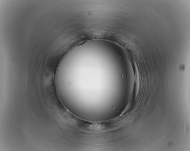 X0000091680225200709061111