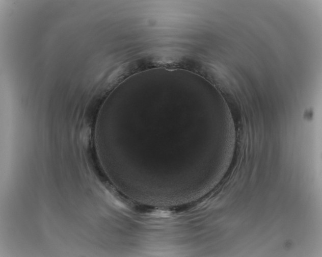 X0000091680227200709061111