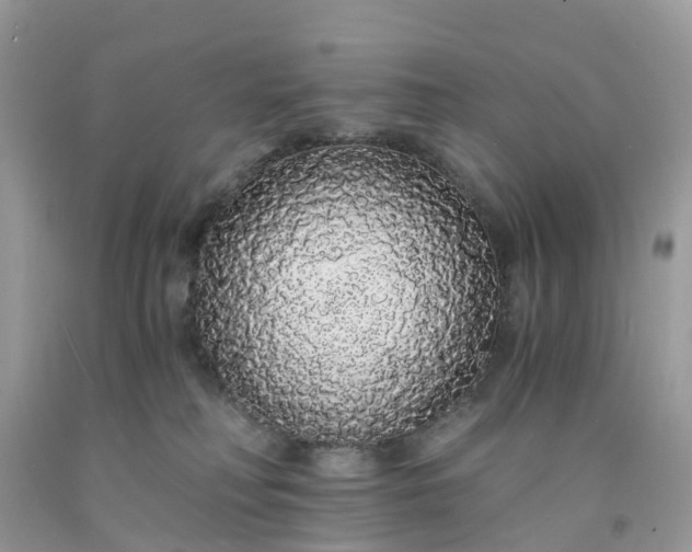 X0000091680230200709061111