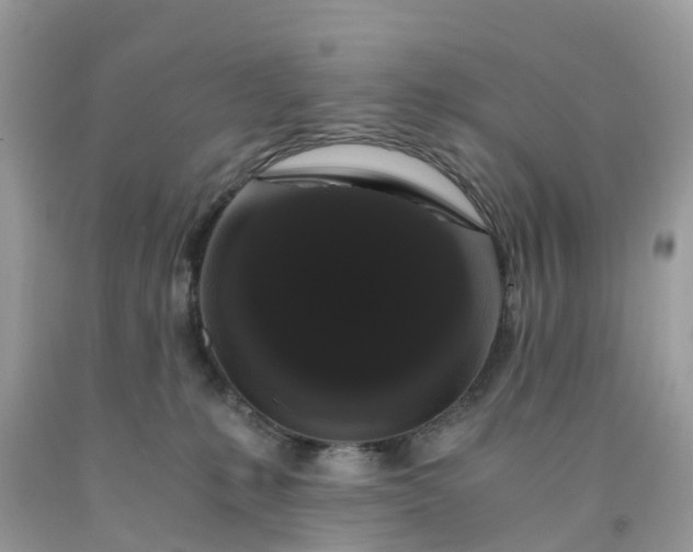 X0000091680231200709061111