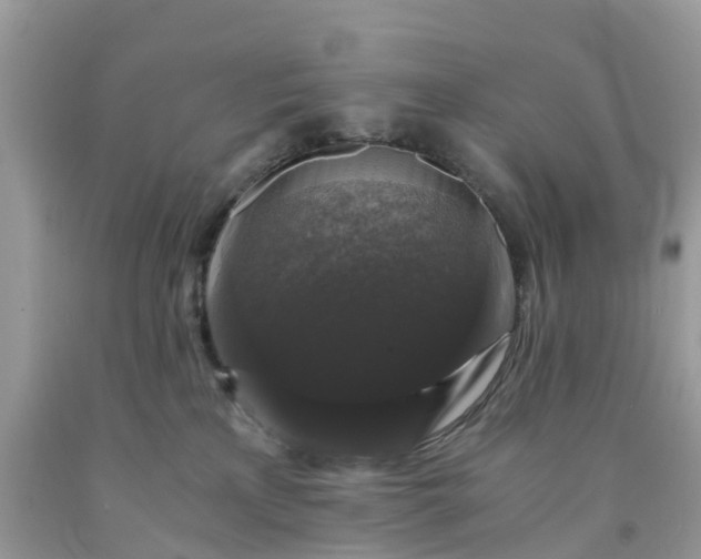 X0000091680233200709061111