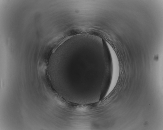 X0000091680235200709061111