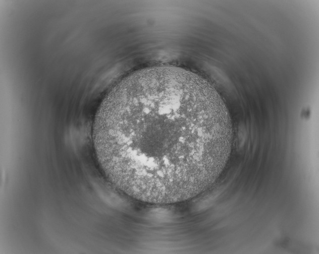 X0000091680236200709061111