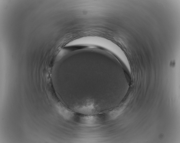 X0000091680237200709061111