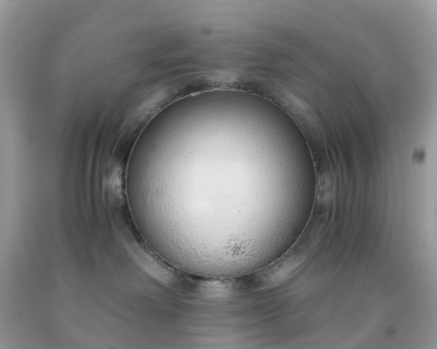 X0000091680238200709061111