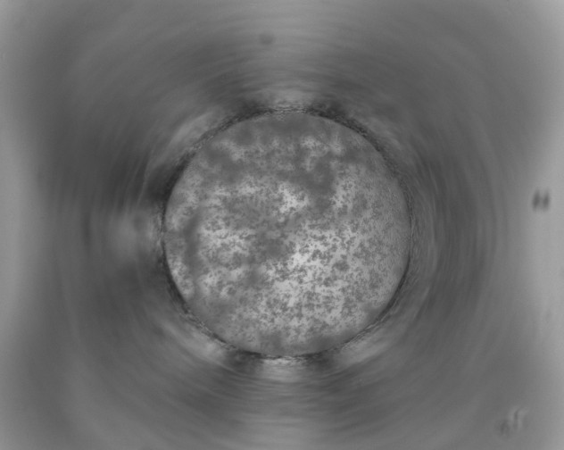 X0000091680240200709061111