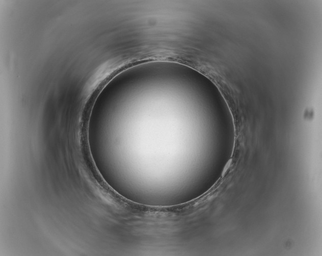 X0000091680242200709061110