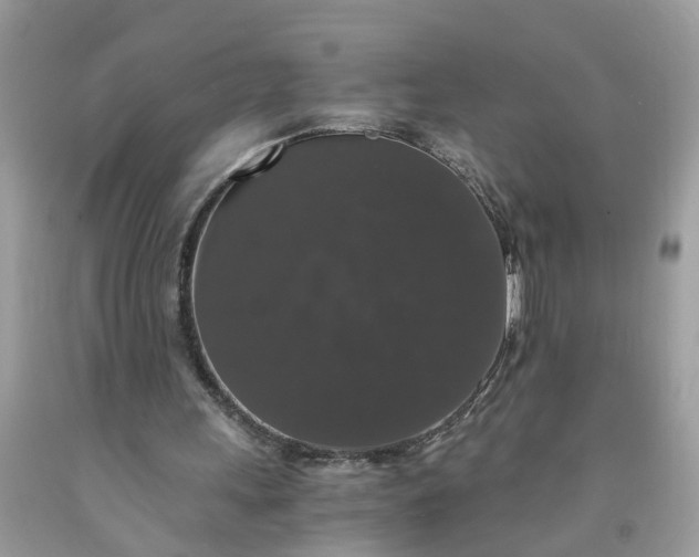 X0000091680243200709061110