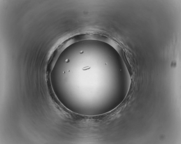 X0000091680244200709061110