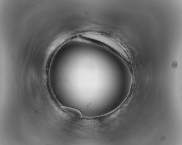 X0000091680245200709061110