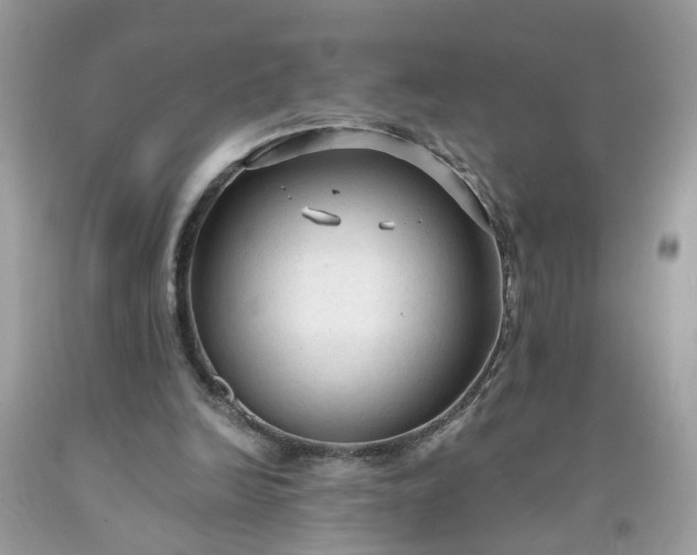 X0000091680246200709061110