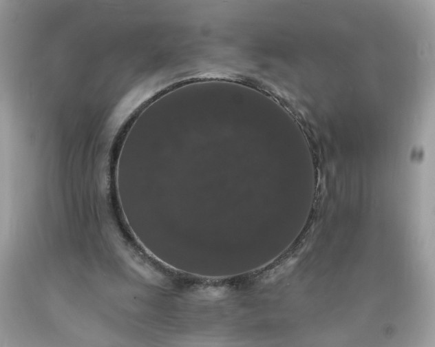 X0000091680247200709061110