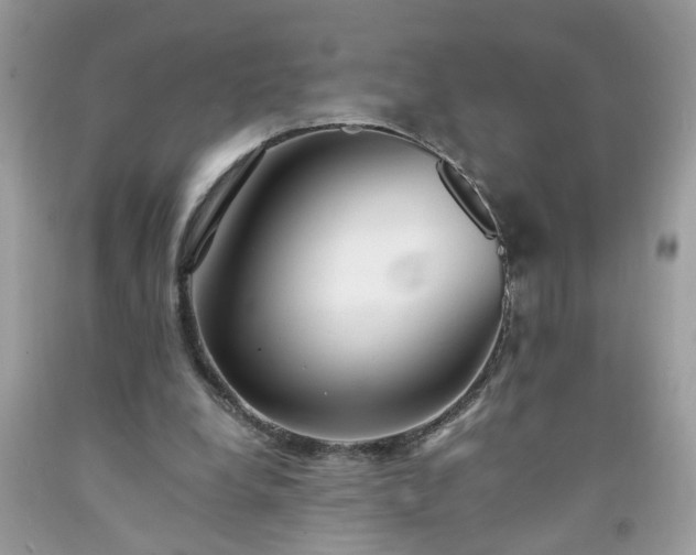 X0000091680248200709061110
