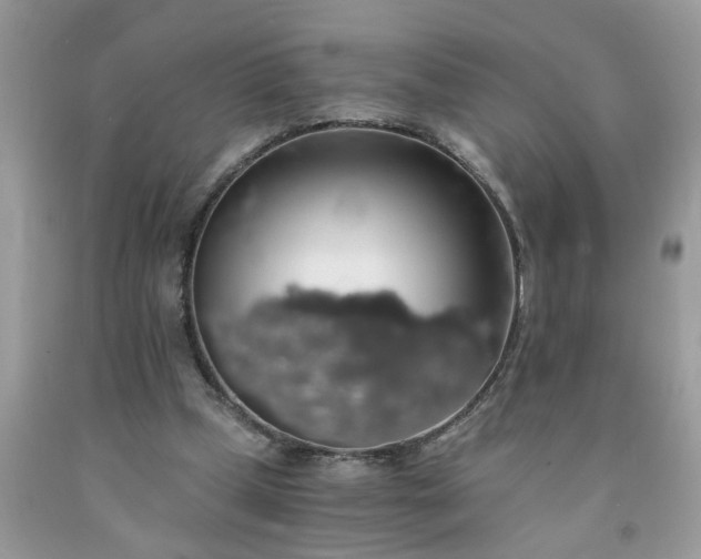 X0000091680249200709061110