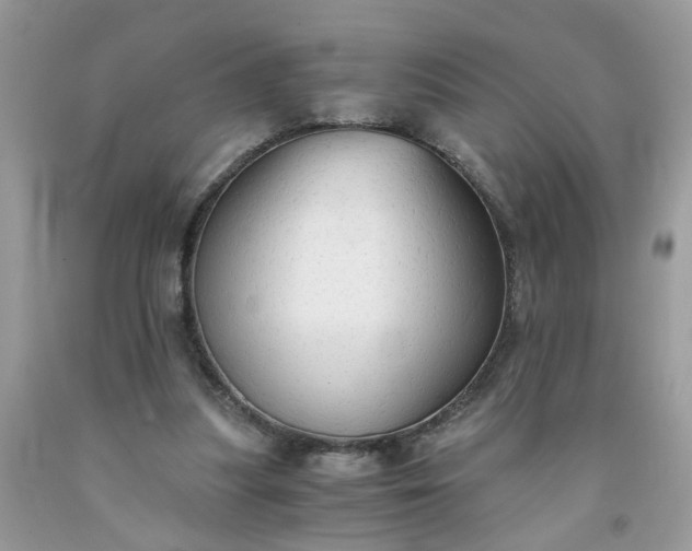 X0000091680251200709061110