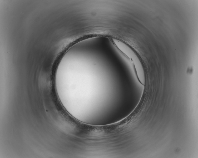 X0000091680252200709061110