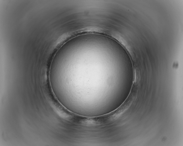 X0000091680253200709061110
