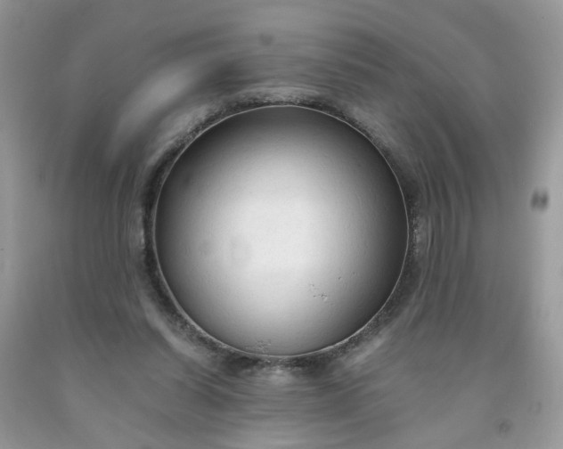 X0000091680254200709061110