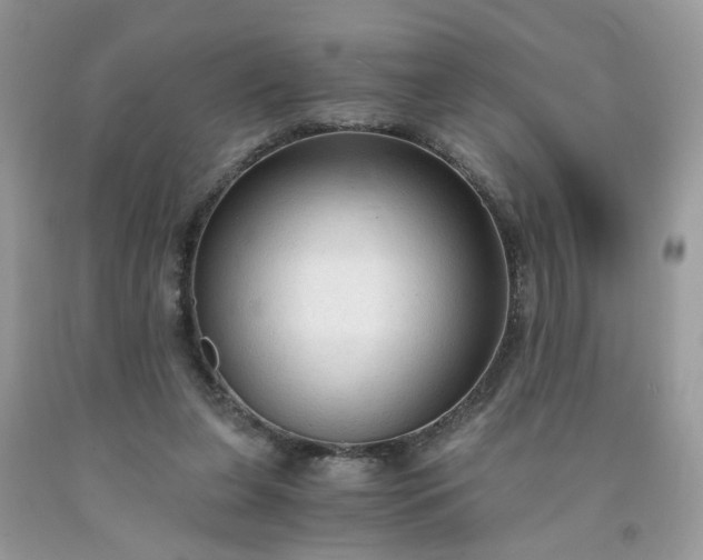 X0000091680255200709061110