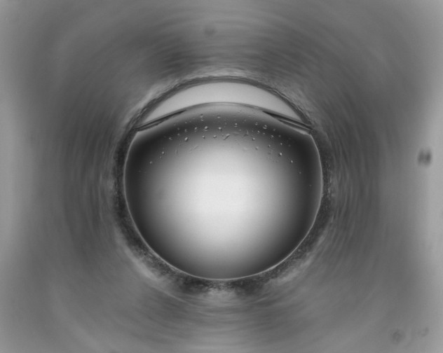 X0000091680256200709061110