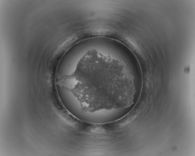 X0000091680258200709061110