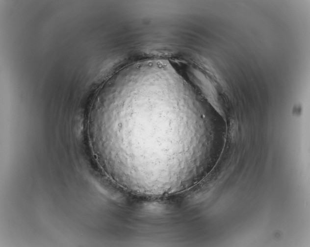 X0000091680259200709061110