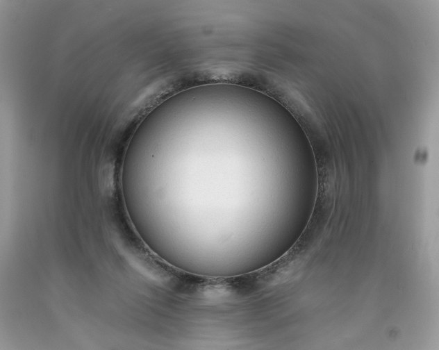 X0000091680262200709061110