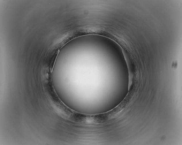 X0000091680264200709061110